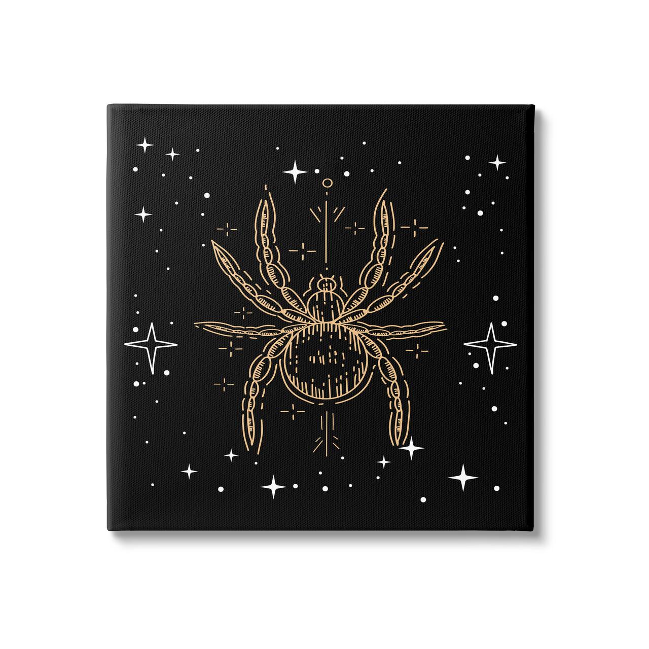 Stupell Industries Starry Halloween Spider Insect Canvas Wall Art